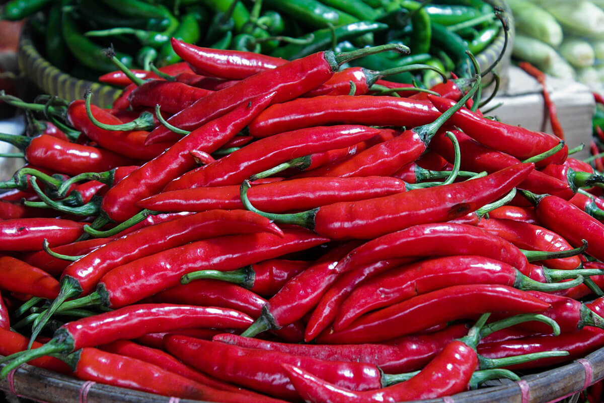 spice trends of 2024, red chili peppers